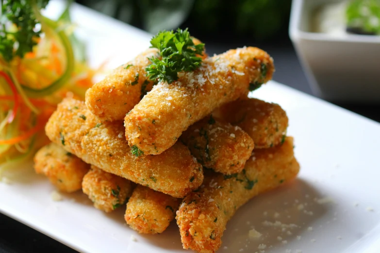 a close up of a plate of food on a table, deep fried, caparisons, pillars, italian style