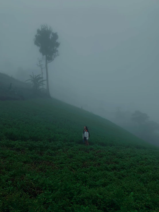 a person standing on top of a lush green hillside, by Max Dauthendey, sumatraism, foggy room, ☁🌪🌙👩🏾, creepy photo, slightly pixelated