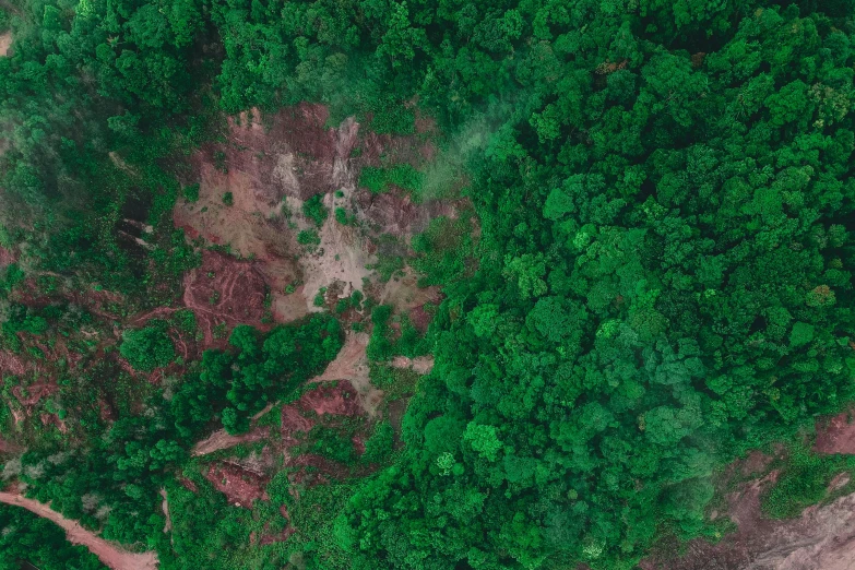 a river running through a lush green forest, an album cover, by Adam Marczyński, pexels, sumatraism, helicopter view, destroyed forest, slightly pixelated, colombian jungle