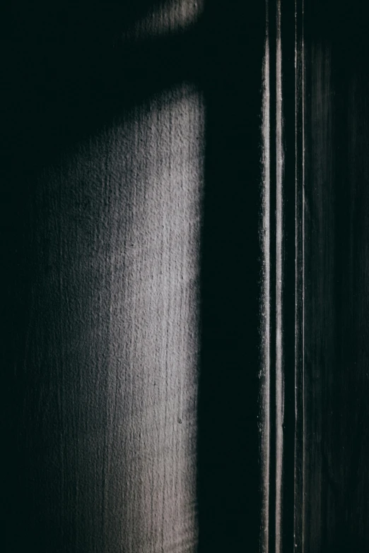 a close up of a door handle on a wooden door, inspired by Arnold Newman, unsplash, light and space, dark drapery, lit from the side, black vertical slatted timber, eery light