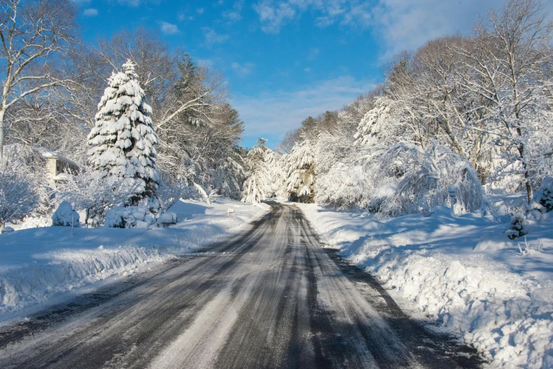 a road covered in snow next to trees, pexels contest winner, hudson river school, thumbnail, covered in ice, slide show, high resolution