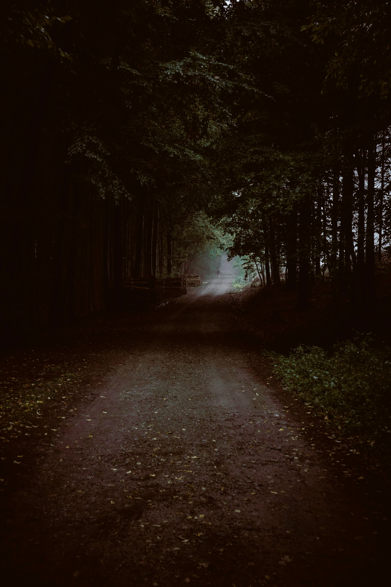 a dirt road in the middle of a forest, an album cover, unsplash contest winner, tonalism, very dark night time, instagram picture, multiple stories, looking left