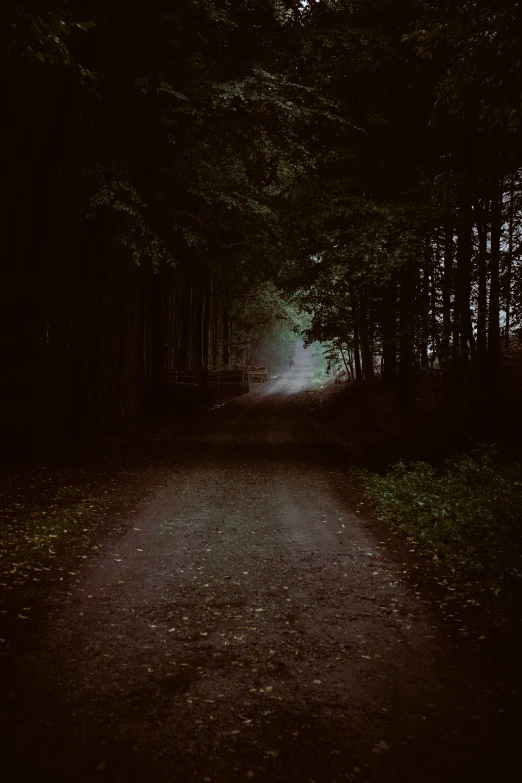a dirt road in the middle of a forest, an album cover, unsplash contest winner, tonalism, very dark night time, instagram picture, multiple stories, looking left