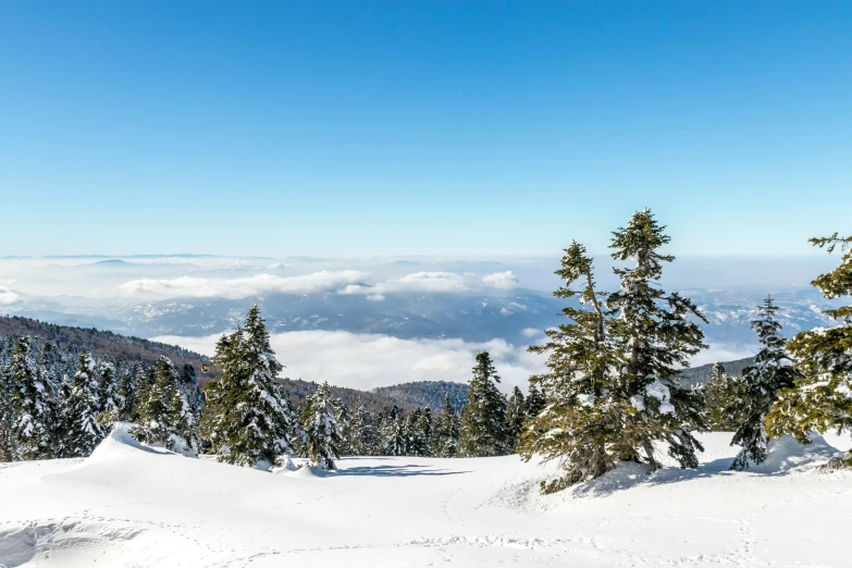 a person riding skis on top of a snow covered slope, a photo, inspired by LeConte Stewart, pexels contest winner, beautiful pine tree landscape, view above the clouds, thumbnail, clear blue skies