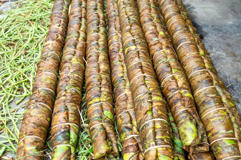 a bunch of carrots sitting on top of a pile of grass, kebab, bali, avatar image, market