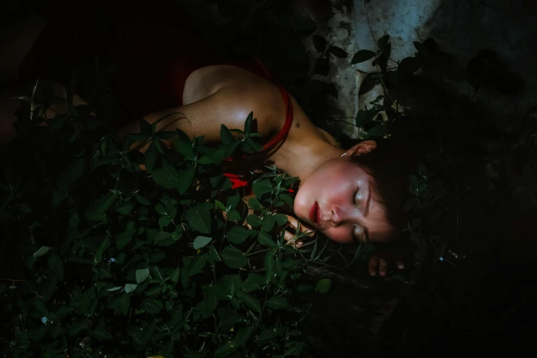 a woman laying on top of a lush green field, inspired by Elsa Bleda, pexels contest winner, renaissance, face and skin is dark red, in a liminal underground garden, portrait of a woman sleeping, with ivy