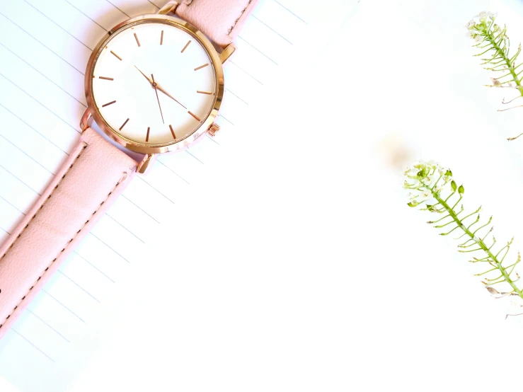 a pink watch sitting on top of a piece of paper, trending on pixabay, minimalism, delicate garden on paper, background image, thumbnail