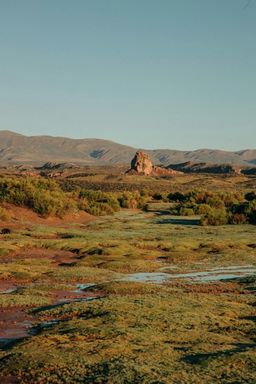 a man flying a kite on top of a lush green field, by Lee Loughridge, unsplash contest winner, hurufiyya, standing next to desert oasis, red lava rivers, panoramic view, late summer evening