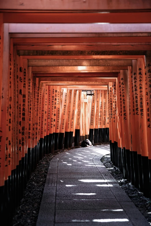 a tunnel of orange tori tori tori tori tori tori tori tori tori tori tori tori tori tori, a picture, unsplash contest winner, ukiyo-e, dry archways and spires, taken in the 2000s, orange red black white, wooden supports