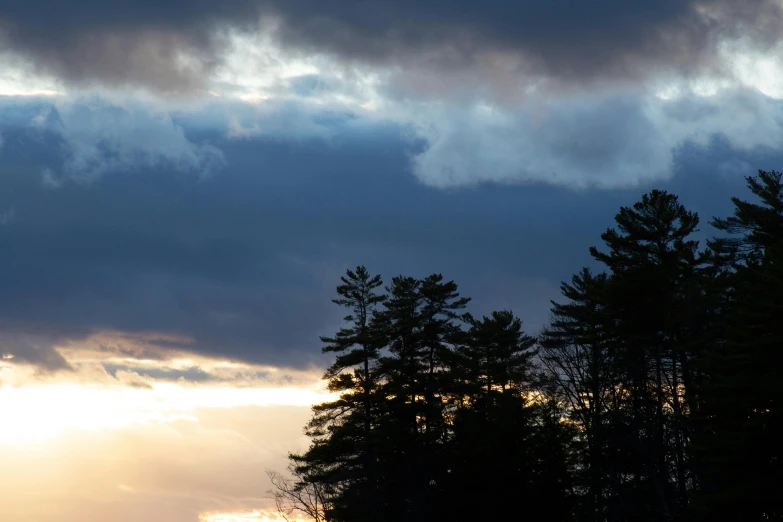 a couple of cows standing on top of a lush green field, by Jessie Algie, unsplash, romanticism, dramatic storm sunset, new hampshire, scary pines, with dark trees in foreground