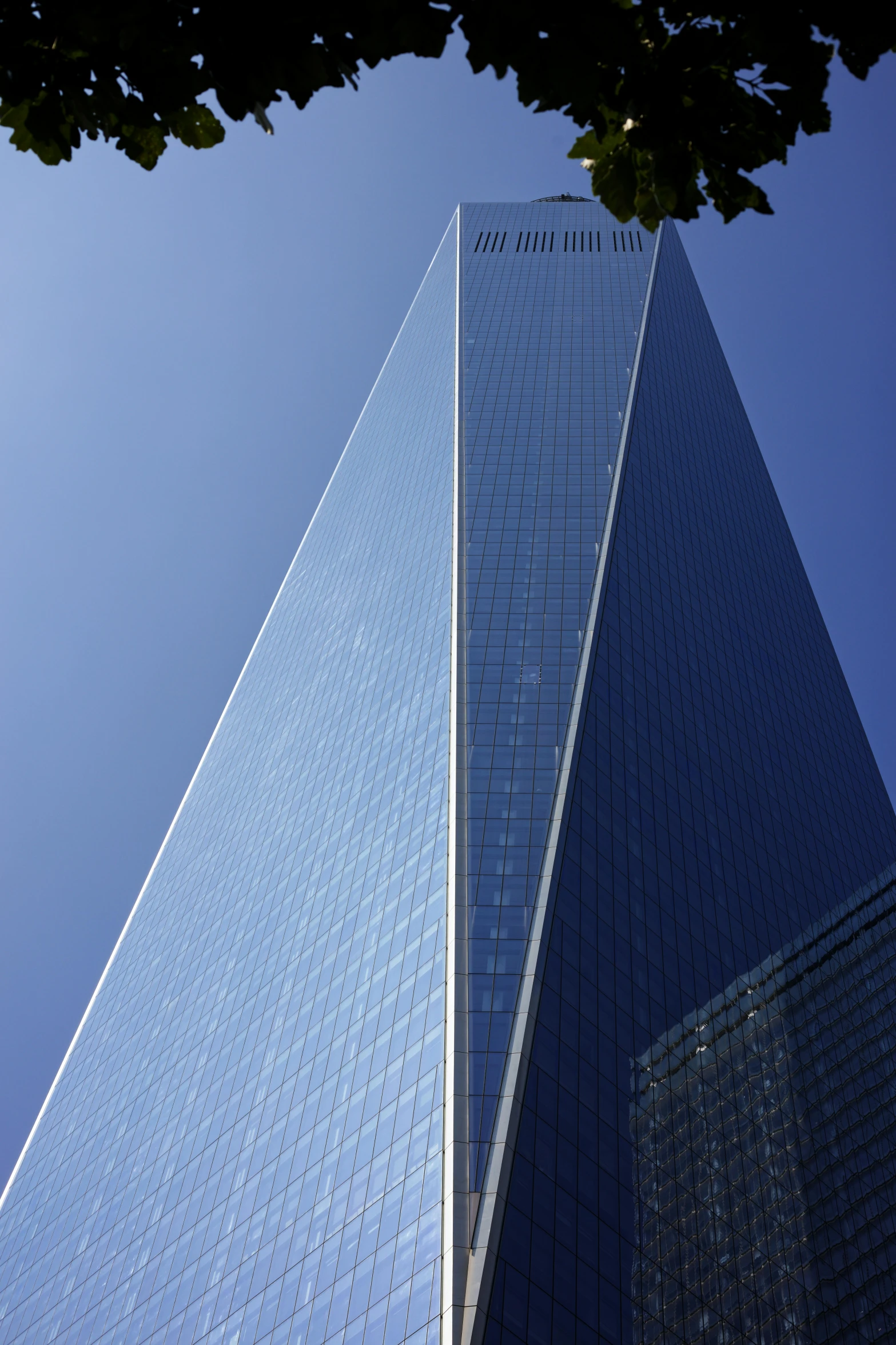 the one world trade center in new york city, by Kristin Nelson, up-angle view, view from front, magestic