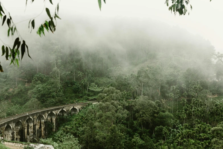 a train traveling over a bridge in the middle of a forest, hurufiyya, foggy jungle, sri lankan landscape, jovana rikalo, conde nast traveler photo
