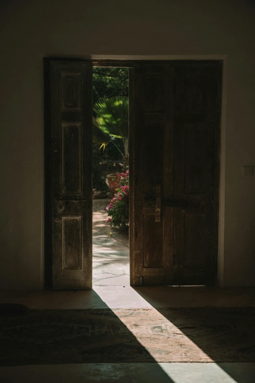 a couple of doors that are open in a room, pexels contest winner, light and space, secret garden, late afternoon sun, religious, a high angle shot