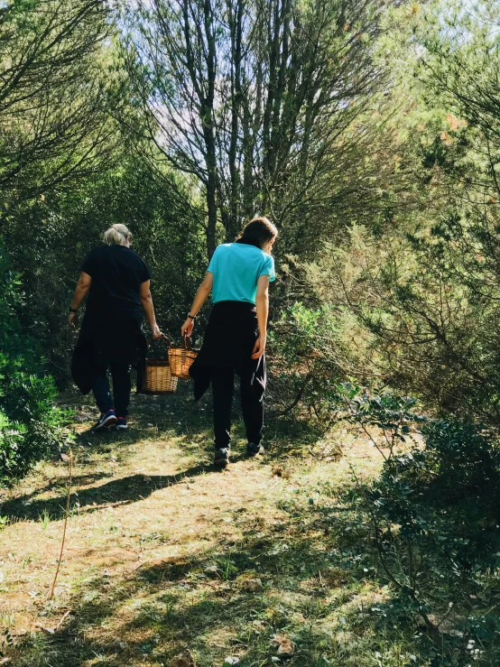 a couple of people that are walking in the woods, by Lee Loughridge, happening, arrendajo in avila pinewood, 🚿🗝📝, carrying a tray, picking flowers