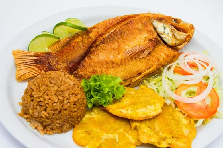 a close up of a plate of food on a table, by Carpoforo Tencalla, golondrinas, half fish, thumbnail, daily specials