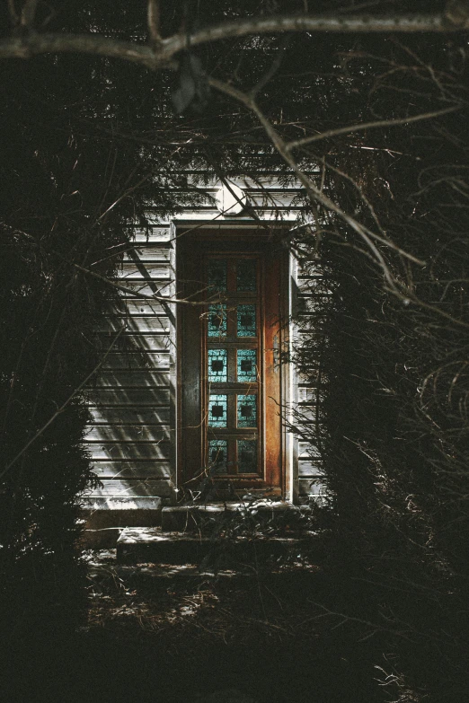 a wooden door sitting in the middle of a forest, profile image, during the night, multiple stories, cottage