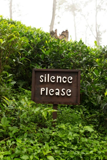 a sign sitting on the side of a lush green hillside, renaissance, silence, please, on a jungle forest, sleepy