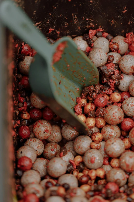 a pan filled with lots of food sitting on top of a table, by Attila Meszlenyi, unsplash, process art, red gems scattered like dust, acorns, carolina reaper, berries inside structure