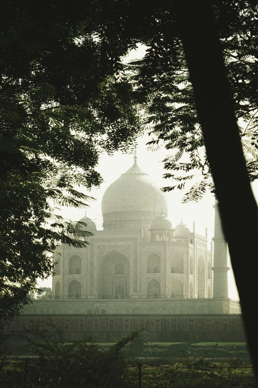 a view of the taj mahal through the trees, a picture, inspired by Steve McCurry, renaissance, soft shadows, trending photo, white in color, coloured film photography