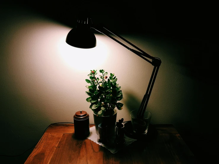 a lamp sitting on top of a wooden table next to a plant, nightime