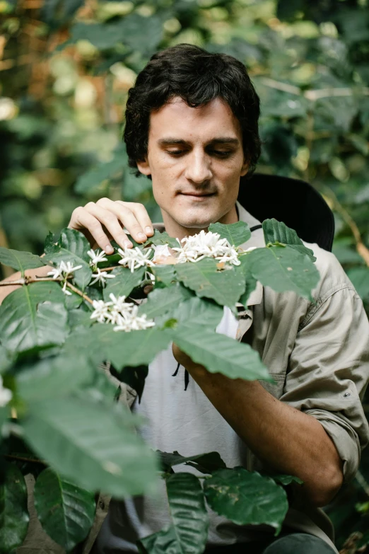 a man sitting in a chair next to a tree, amongst coffee beans and flowers, rainforest, profile picture, edible