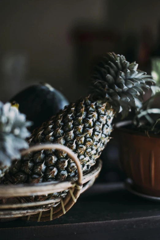 a bird sitting on top of a table next to a potted plant, a still life, unsplash, renaissance, pineapples, fruit basket, close up shot from the side, grey vegetables