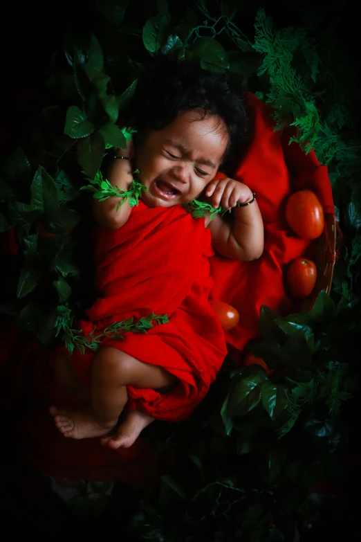 a baby laying in a bowl of vegetables, an album cover, by Basuki Abdullah, symbolism, red robes, 15081959 21121991 01012000 4k, emotion, pose 1 of 1 6