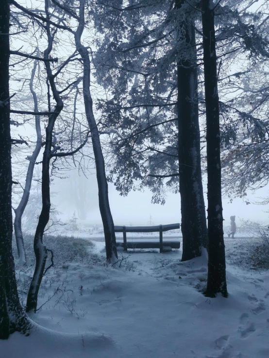 a bench sitting in the middle of a snow covered forest, a picture, inspired by Franz Sedlacek, pexels contest winner, romanticism, in the bottom there a lot of fog, low quality photo, looking towards camera, black forest