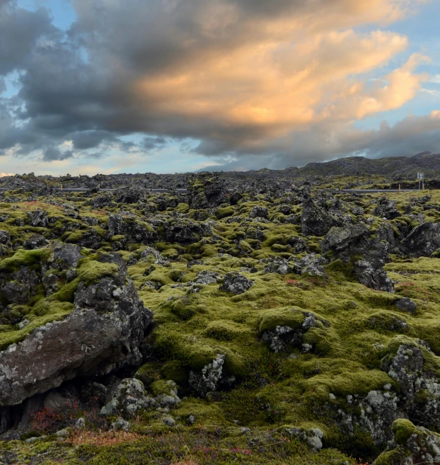 a field of moss covered rocks under a cloudy sky, by Hallsteinn Sigurðsson, unsplash, happening, volcanic embers, evening sunlight, björk, 4k/8k