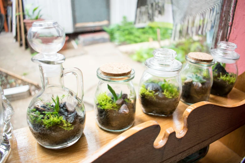 a wooden table topped with glass jars filled with plants, by Adam Marczyński, trending on unsplash, snap traps of dionaea muscipula, miniatures, fan favorite, al fresco