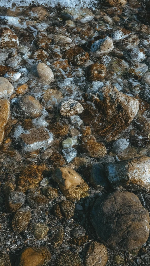 a red fire hydrant sitting on top of a pile of rocks, an album cover, inspired by Filip Hodas, unsplash, naturalism, flowing clear water creek bed, 4 k seamless mud texture, high angle close up shot, shot on sony a 7