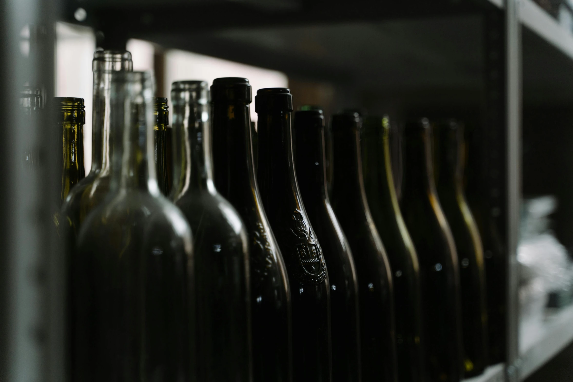 a row of empty wine bottles on a shelf, unsplash, process art, thumbnail, digital image, ground level shot, contain