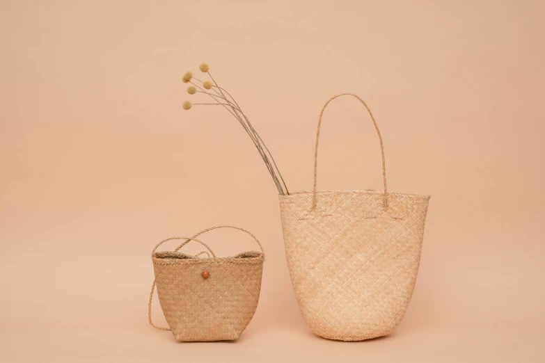 two baskets sitting next to each other on a beige background, unsplash, mingei, bag, palm, white background and fill, multiple stories