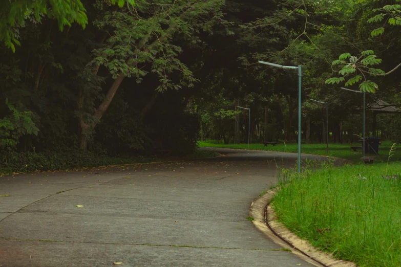 a red fire hydrant sitting on the side of a road, an album cover, inspired by Elsa Bleda, realism, green spaces, single light, walking at the park, oscar niemeyer