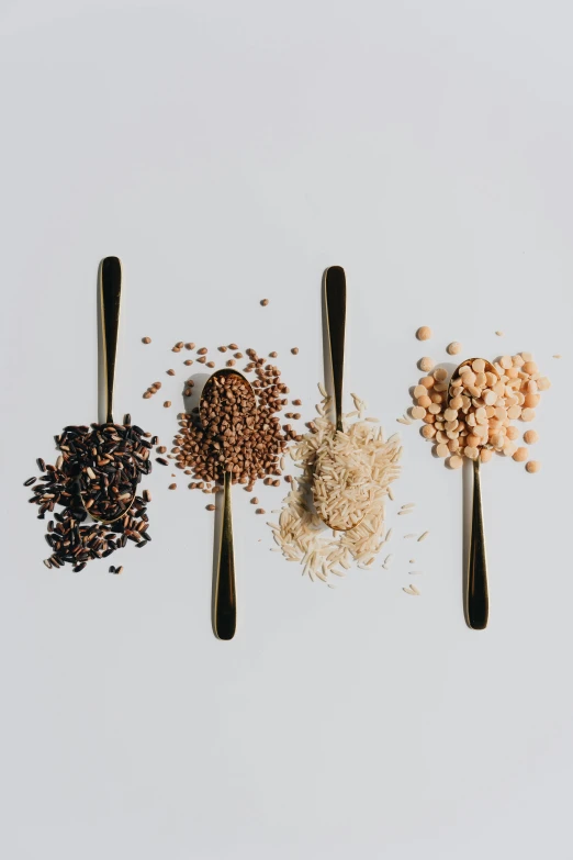 a row of spoons filled with different types of food, unsplash, mineral grains, ilustration, digital image, full body image