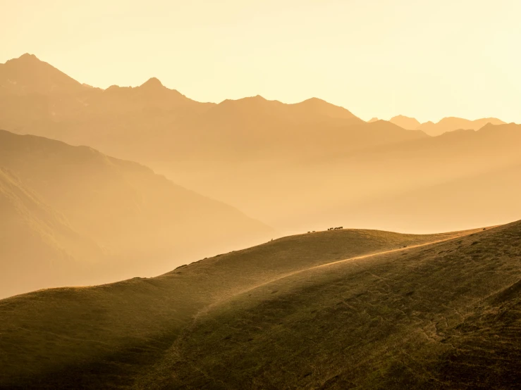 a horse standing on top of a lush green hillside, by Peter Churcher, unsplash contest winner, in a sunset haze, alpes, full of golden layers, john pawson