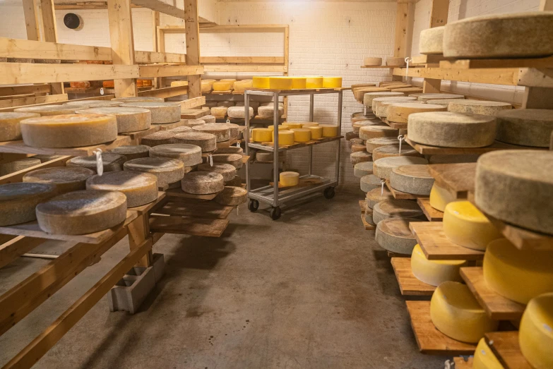 a room filled with lots of different types of cheese, unsplash, arbeitsrat für kunst, inside a shed, lower and upper levels, wheels, panoramic