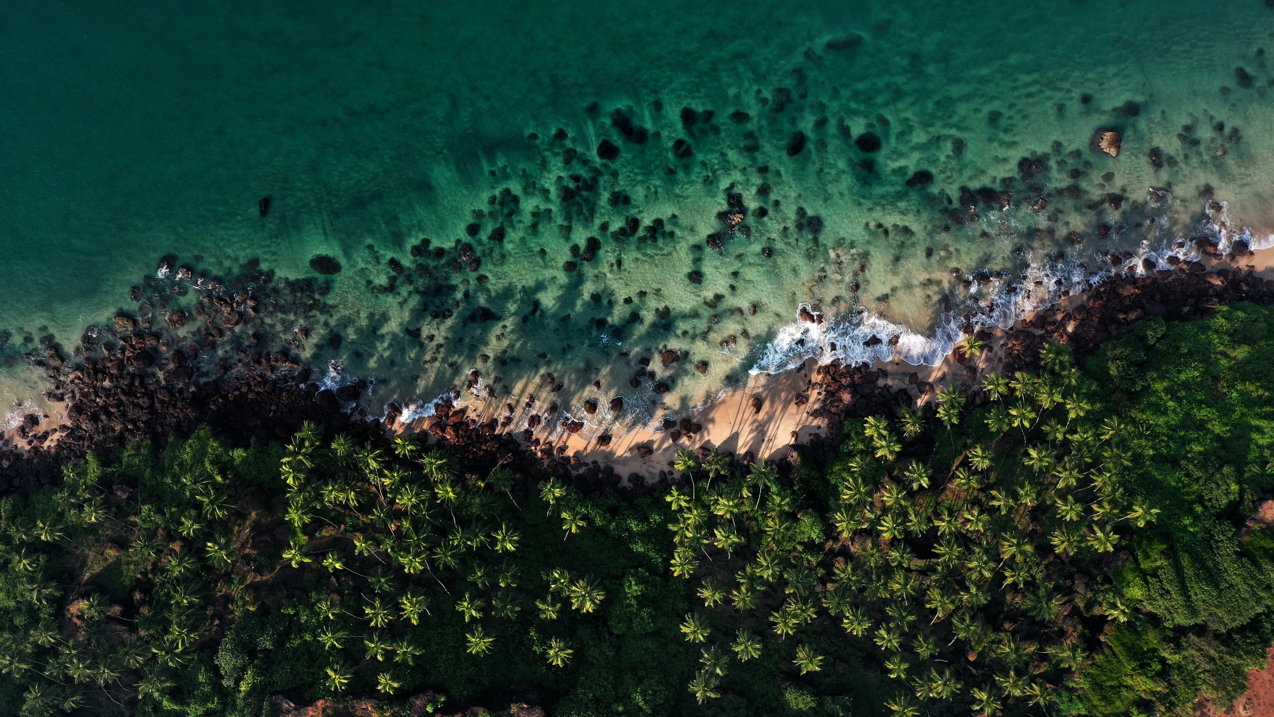 an aerial view of a beach with palm trees, pexels contest winner, hurufiyya, deep green, thumbnail, rocky beach, good light