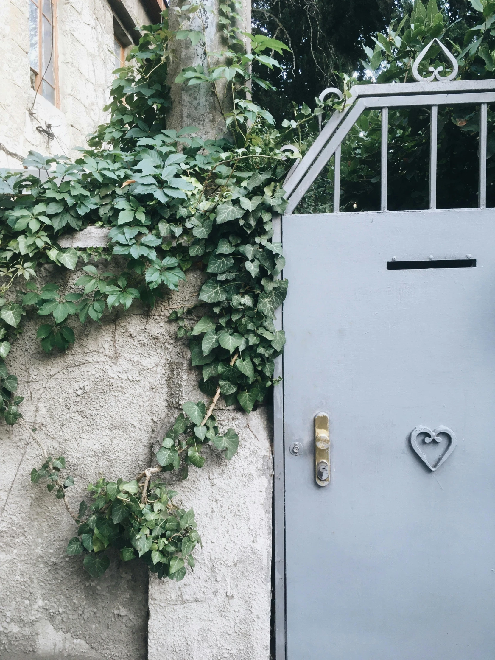 a cat that is standing in front of a door, an album cover, by Anna Haifisch, unsplash, walls are covered with vines, grey metal body, absence makes heart grow fonder, kreuzberg