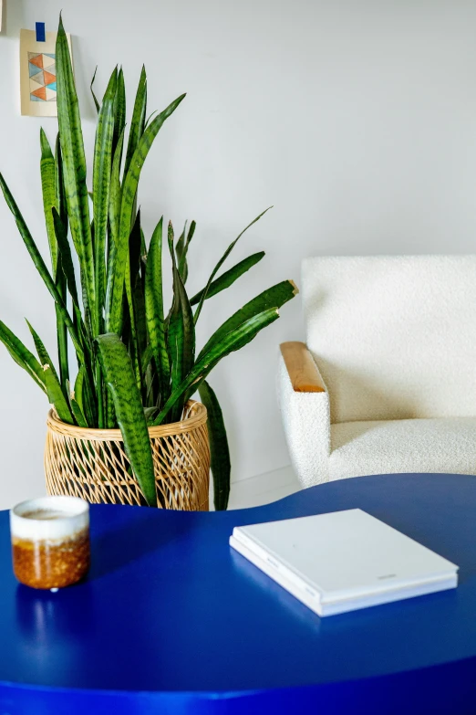 a blue coffee table with a book on top of it, trending on pexels, minimalism, lush plant growth, waiting room, comfy chairs, detailed product image