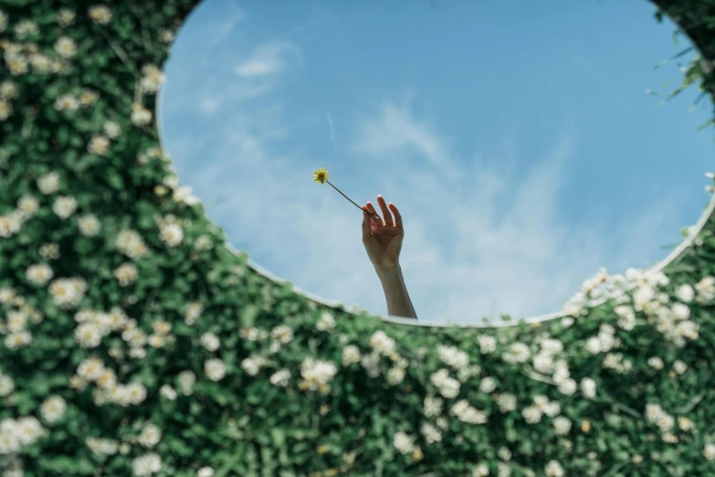 a person holding a flower in front of a mirror, pexels contest winner, magic realism, floating into the sky, outdoor art installation, everything enclosed in a circle, heath clifford