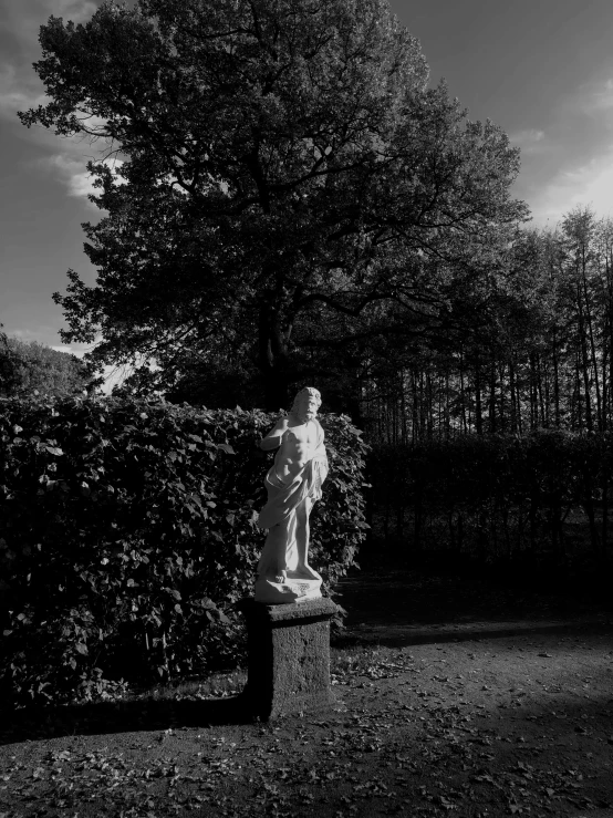 a black and white photo of a statue in a park, a statue, by Antoni Brodowski, in style of caravaggio, with a french garden, by greg rutkowski, the girl and the sun