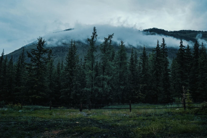 a mountain in the distance with trees in the foreground, inspired by Elsa Bleda, unsplash contest winner, hurufiyya, overcast gray skies, misty ghost town, british columbia, early evening