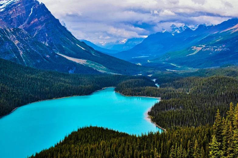 a large body of water surrounded by trees, pexels contest winner, banff national park, teals, lush forest in valley below, 2 0 2 2 photo