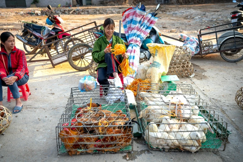 a woman sitting on top of a pile of caged animals, local foods, square, fan favorite, ja mong