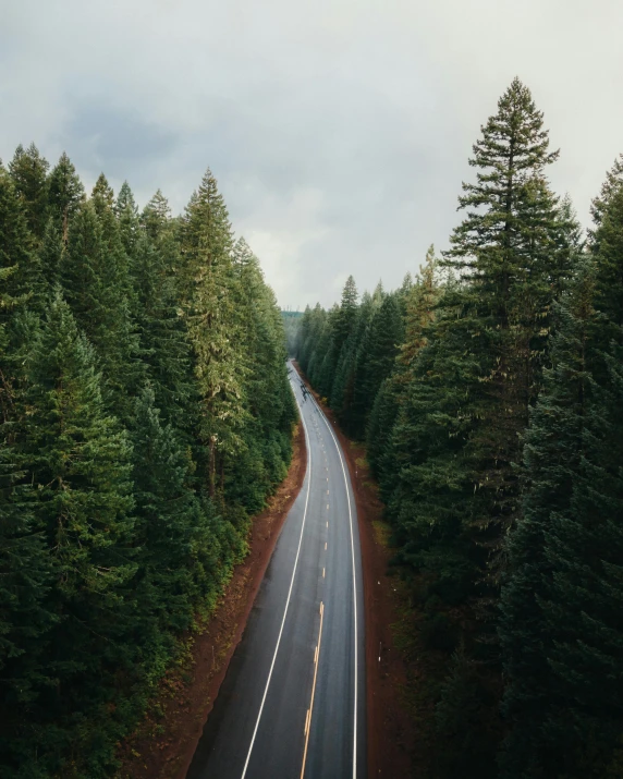 a long road in the middle of a forest, pine trees in the background, from above, paved roads, carson ellis