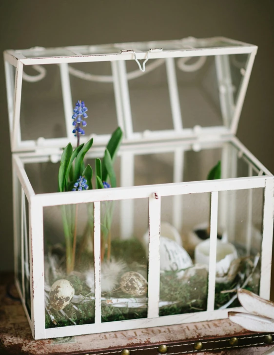 a glass box sitting on top of a wooden table, grape hyacinth, white finish, iron frame, a medium shot