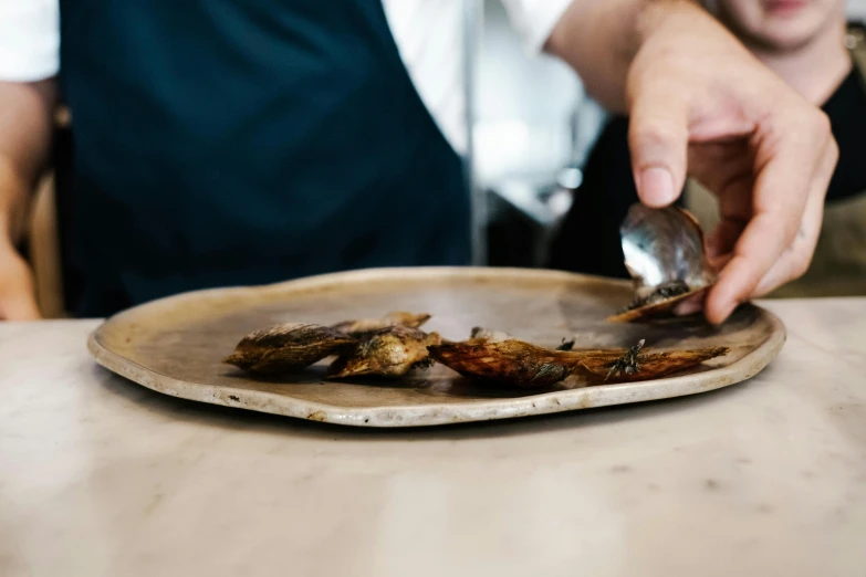 a close up of a plate of food on a table, a portrait, inspired by Richmond Barthé, pexels contest winner, cicada wings, smouldering charred timber, holding an fish in his hand, spoon placed