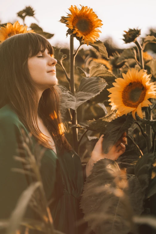 a woman standing in a field of sunflowers, inspired by Elsa Bleda, pexels contest winner, renaissance, next to a plant, profile image, girl with brown hair, relaxing mood