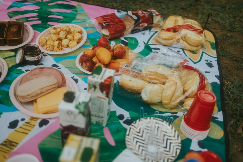 a table that has a bunch of food on it, unsplash, neo-fauvism, picnic, patterned, family photo, low angle shot